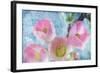 Flowering Quince IV-Kathy Mahan-Framed Photographic Print