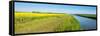 Flowering Rapeseed in the Spring Season-Ruud Morijn-Framed Stretched Canvas