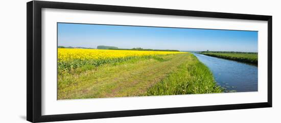 Flowering Rapeseed in the Spring Season-Ruud Morijn-Framed Photographic Print