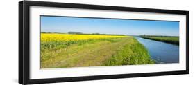 Flowering Rapeseed in the Spring Season-Ruud Morijn-Framed Photographic Print