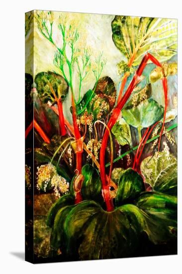Flowering Rhubarb-jocasta shakespeare-Stretched Canvas