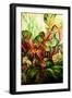 Flowering Rhubarb-jocasta shakespeare-Framed Giclee Print