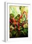 Flowering Rhubarb-jocasta shakespeare-Framed Giclee Print