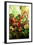 Flowering Rhubarb-jocasta shakespeare-Framed Giclee Print