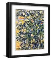 Flowering Shrub-Vincent van Gogh-Framed Giclee Print