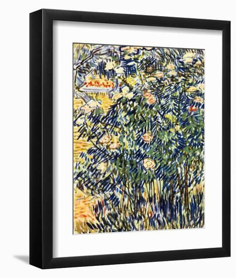 Flowering Shrub-Vincent van Gogh-Framed Giclee Print