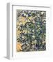 Flowering Shrub-Vincent van Gogh-Framed Giclee Print