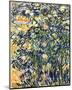 Flowering Shrub-Vincent van Gogh-Mounted Giclee Print