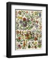 Flowering Shrubs, Including Peony, Rose, Lilac, Echinopsis, Fuschia, Laurel, Magnolia, Rhododendron-null-Framed Premium Giclee Print