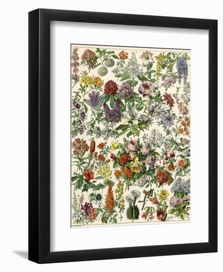 Flowering Shrubs, Including Peony, Rose, Lilac, Echinopsis, Fuschia, Laurel, Magnolia, Rhododendron-null-Framed Premium Giclee Print