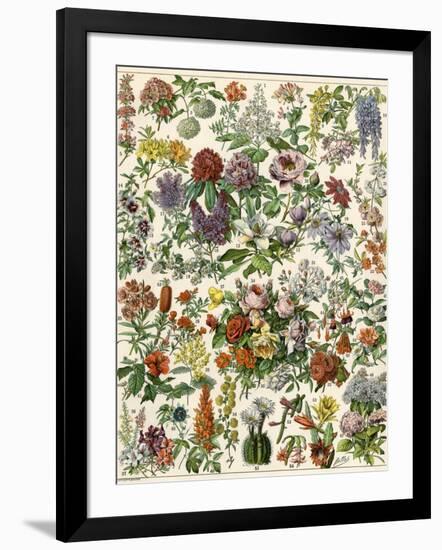 Flowering Shrubs, Including Peony, Rose, Lilac, Echinopsis, Fuschia, Laurel, Magnolia, Rhododendron-null-Framed Giclee Print