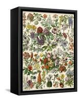 Flowering Shrubs, Including Peony, Rose, Lilac, Echinopsis, Fuschia, Laurel, Magnolia, Rhododendron-null-Framed Stretched Canvas
