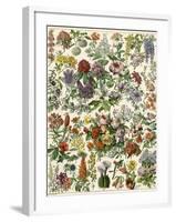 Flowering Shrubs, Including Peony, Rose, Lilac, Echinopsis, Fuschia, Laurel, Magnolia, Rhododendron-null-Framed Giclee Print