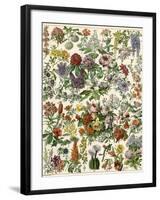 Flowering Shrubs, Including Peony, Rose, Lilac, Echinopsis, Fuschia, Laurel, Magnolia, Rhododendron-null-Framed Giclee Print