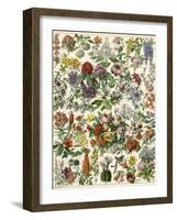 Flowering Shrubs, Including Peony, Rose, Lilac, Echinopsis, Fuschia, Laurel, Magnolia, Rhododendron-null-Framed Giclee Print