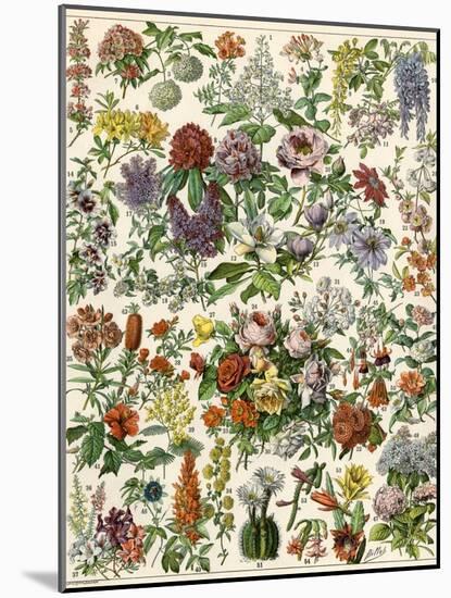 Flowering Shrubs, Including Peony, Rose, Lilac, Echinopsis, Fuschia, Laurel, Magnolia, Rhododendron-null-Mounted Giclee Print