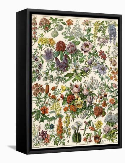 Flowering Shrubs, Including Peony, Rose, Lilac, Echinopsis, Fuschia, Laurel, Magnolia, Rhododendron-null-Framed Stretched Canvas