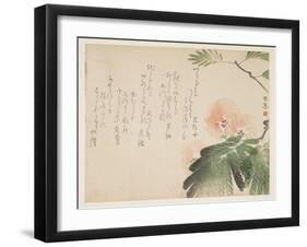 Flowering Silk Tree, C.1830-43-Saigyo-Framed Giclee Print