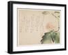 Flowering Silk Tree, C.1830-43-Saigyo-Framed Giclee Print