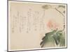 Flowering Silk Tree, C.1830-43-Saigyo-Mounted Giclee Print