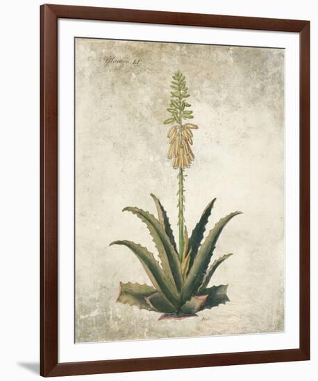 Flowering Succulent I-Giclee Studio-Framed Giclee Print