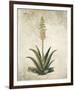 Flowering Succulent I-Giclee Studio-Framed Giclee Print