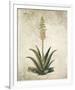 Flowering Succulent I-Giclee Studio-Framed Giclee Print