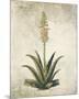 Flowering Succulent I-Giclee Studio-Mounted Giclee Print