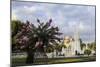 Flowering Tree and Families in Sultanahmet Park in Front of the Blue Mosque-Eleanor Scriven-Mounted Photographic Print