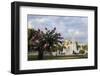 Flowering Tree and Families in Sultanahmet Park in Front of the Blue Mosque-Eleanor Scriven-Framed Photographic Print