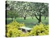 Flowering Trees with Memorial Bench, Yakima Area Arboretum, Washington, USA-null-Stretched Canvas