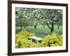 Flowering Trees with Memorial Bench, Yakima Area Arboretum, Washington, USA-null-Framed Photographic Print