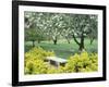 Flowering Trees with Memorial Bench, Yakima Area Arboretum, Washington, USA-null-Framed Photographic Print