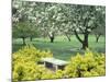 Flowering Trees with Memorial Bench, Yakima Area Arboretum, Washington, USA-null-Mounted Photographic Print