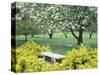 Flowering Trees with Memorial Bench, Yakima Area Arboretum, Washington, USA-null-Stretched Canvas