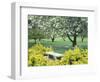 Flowering Trees with Memorial Bench, Yakima Area Arboretum, Washington, USA-null-Framed Photographic Print