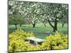 Flowering Trees with Memorial Bench, Yakima Area Arboretum, Washington, USA-null-Mounted Photographic Print