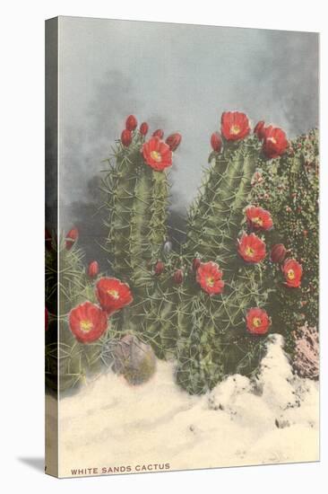 Flowering White Sands Cactus-null-Stretched Canvas