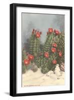 Flowering White Sands Cactus-null-Framed Art Print