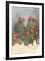 Flowering White Sands Cactus-null-Framed Art Print