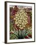 Flowering Yucca-Christopher Ryland-Framed Giclee Print