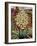 Flowering Yucca-Christopher Ryland-Framed Giclee Print