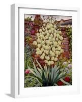 Flowering Yucca-Christopher Ryland-Framed Giclee Print