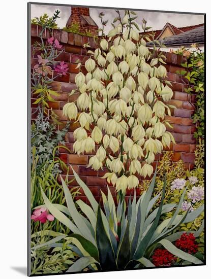 Flowering Yucca-Christopher Ryland-Mounted Giclee Print
