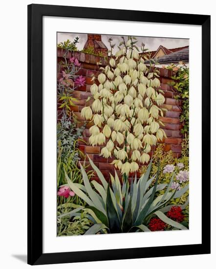 Flowering Yucca-Christopher Ryland-Framed Giclee Print