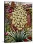 Flowering Yucca-Christopher Ryland-Stretched Canvas