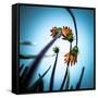 Flowerlove-Fgr100-Framed Stretched Canvas