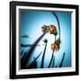 Flowerlove-Fgr100-Framed Photographic Print