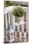 Flowerpot, Asters, Autumn Flowers, Chair, Lantern-Andrea Haase-Mounted Photographic Print