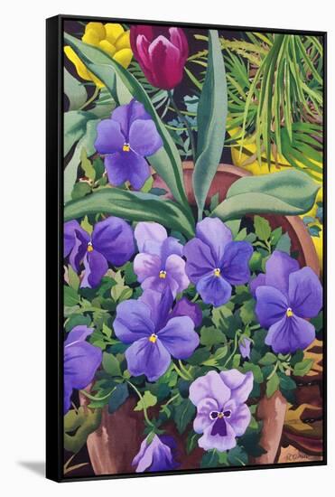 Flowerpots with Pansies, 2007-Christopher Ryland-Framed Stretched Canvas